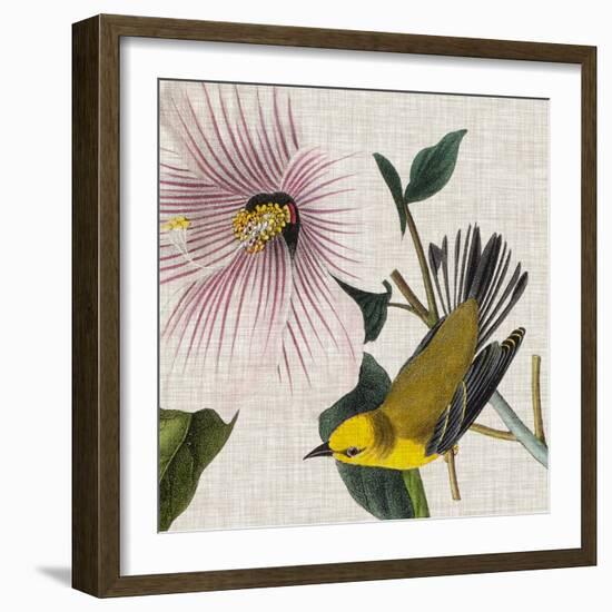 Avian Crop V-John James Audubon-Framed Art Print