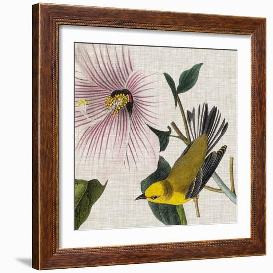 Avian Crop V-John James Audubon-Framed Art Print