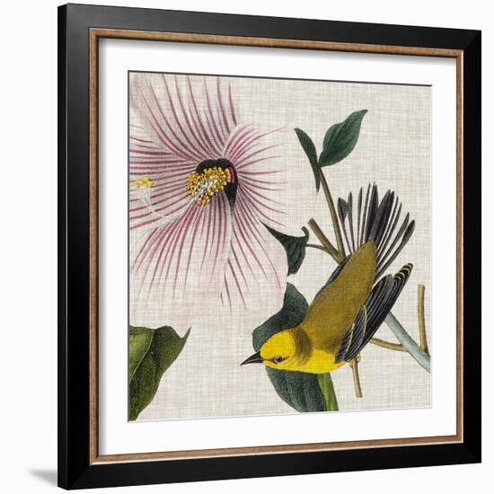 Avian Crop V-John James Audubon-Framed Art Print