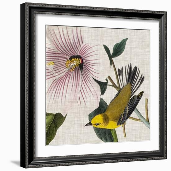 Avian Crop V-John James Audubon-Framed Art Print