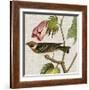 Avian Crop VI-John James Audubon-Framed Giclee Print
