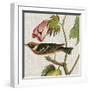 Avian Crop VI-John James Audubon-Framed Giclee Print