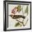 Avian Crop VI-John James Audubon-Framed Art Print