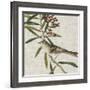 Avian Crop VII-John James Audubon-Framed Giclee Print