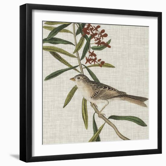 Avian Crop VII-John James Audubon-Framed Art Print