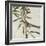 Avian Crop VII-John James Audubon-Framed Art Print