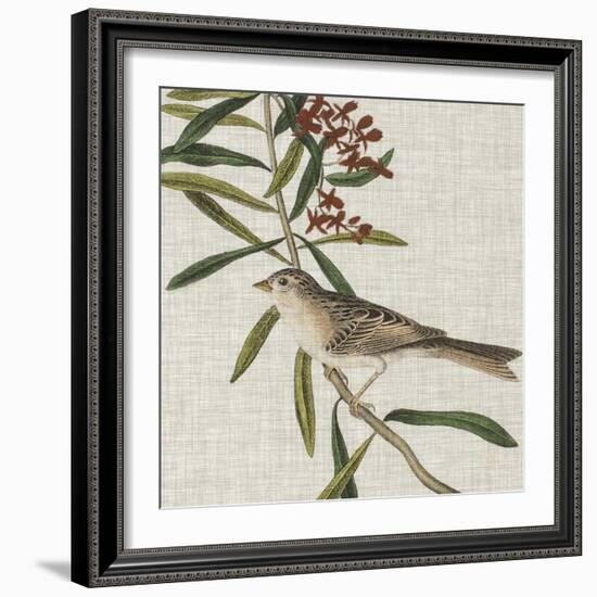 Avian Crop VII-John James Audubon-Framed Art Print