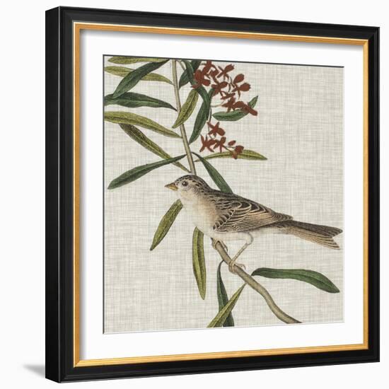 Avian Crop VII-John James Audubon-Framed Art Print