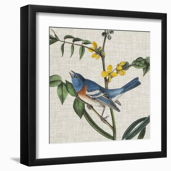 Avian Crop VIII-John James Audubon-Framed Art Print