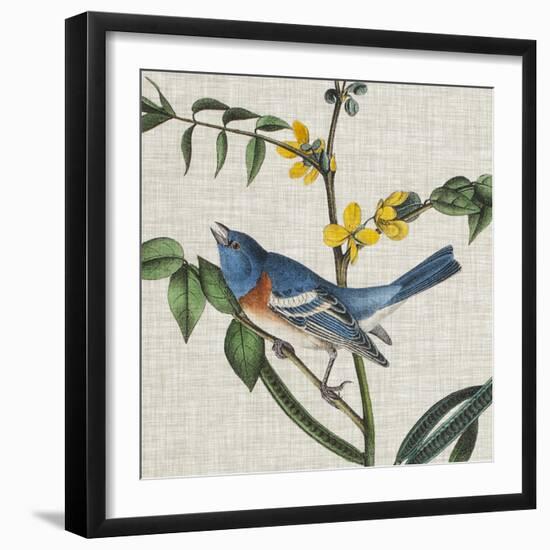 Avian Crop VIII-John James Audubon-Framed Art Print