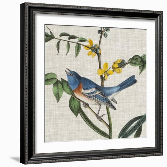 Avian Crop VIII-John James Audubon-Framed Art Print