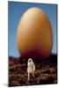 Avian Flu, Conceptual Art-Mauro Fermariello-Mounted Photographic Print