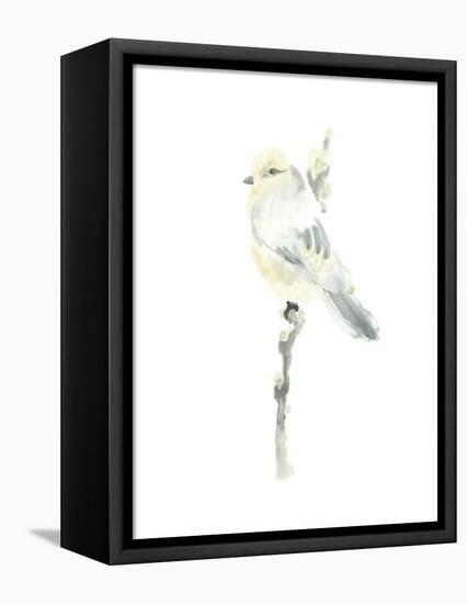 Avian Impressions I-June Vess-Framed Stretched Canvas