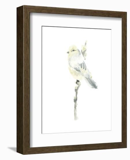 Avian Impressions I-June Vess-Framed Art Print