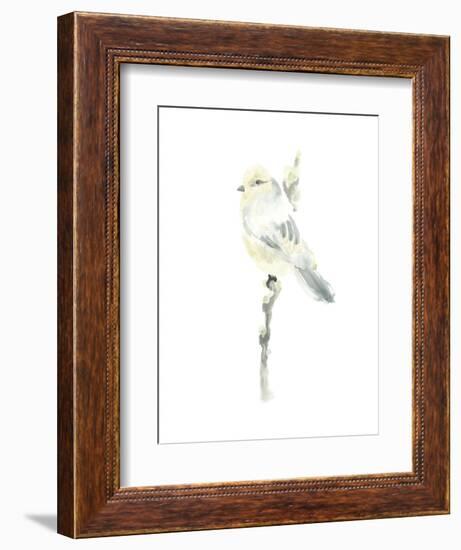 Avian Impressions I-June Vess-Framed Art Print