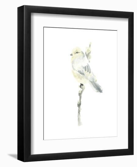 Avian Impressions I-June Vess-Framed Art Print