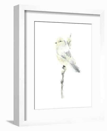 Avian Impressions I-June Vess-Framed Art Print