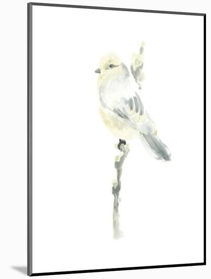 Avian Impressions I-June Vess-Mounted Art Print
