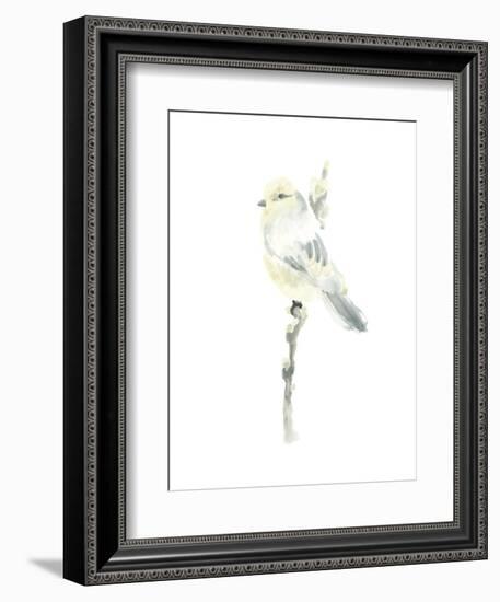 Avian Impressions I-June Vess-Framed Art Print