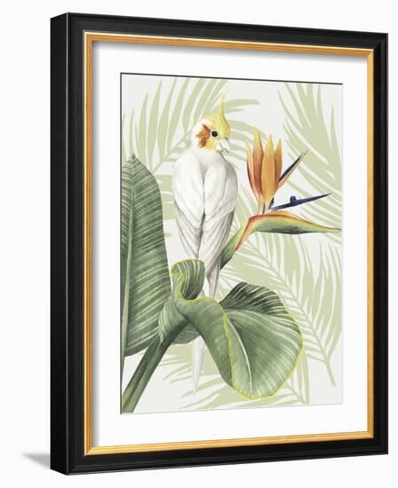 Avian Paradise II-Grace Popp-Framed Art Print