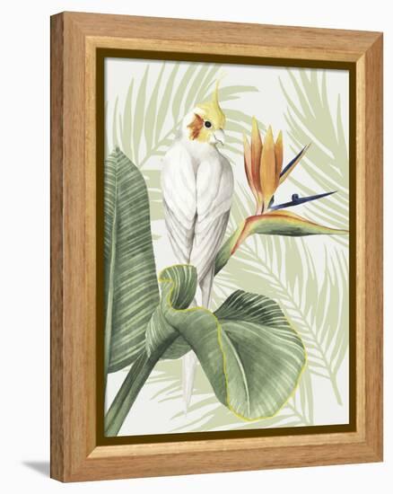 Avian Paradise II-Grace Popp-Framed Stretched Canvas