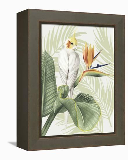 Avian Paradise II-Grace Popp-Framed Stretched Canvas