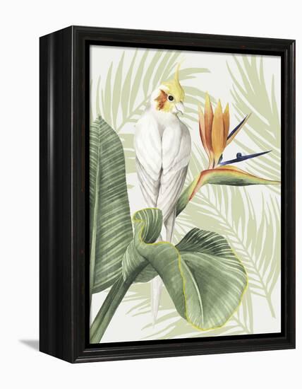Avian Paradise II-Grace Popp-Framed Stretched Canvas