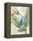 Avian Paradise III-Grace Popp-Framed Stretched Canvas