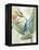 Avian Paradise III-Grace Popp-Framed Stretched Canvas