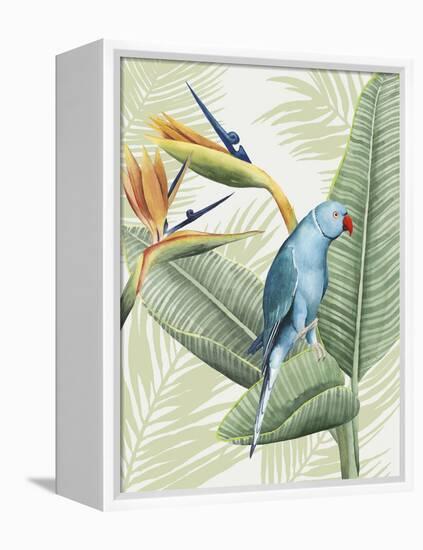 Avian Paradise III-Grace Popp-Framed Stretched Canvas