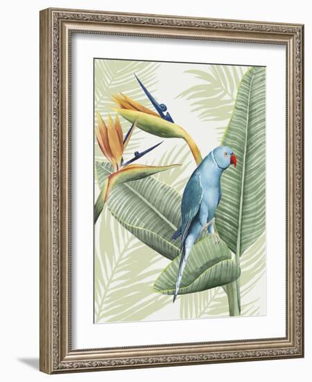 Avian Paradise III-Grace Popp-Framed Art Print