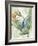 Avian Paradise III-Grace Popp-Framed Art Print