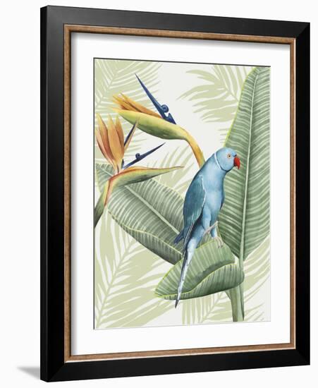 Avian Paradise III-Grace Popp-Framed Art Print