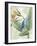 Avian Paradise III-Grace Popp-Framed Art Print