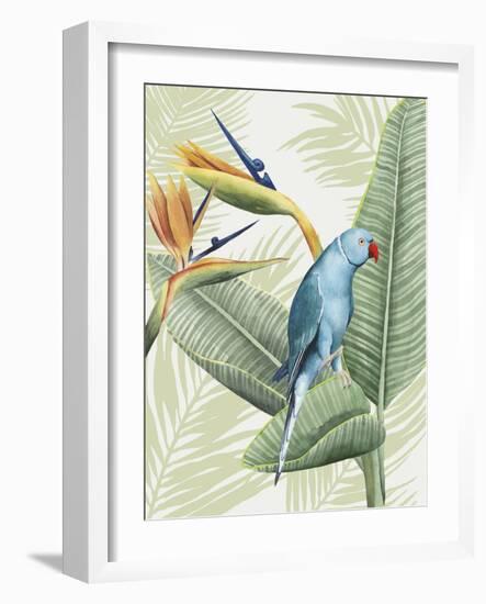 Avian Paradise III-Grace Popp-Framed Art Print