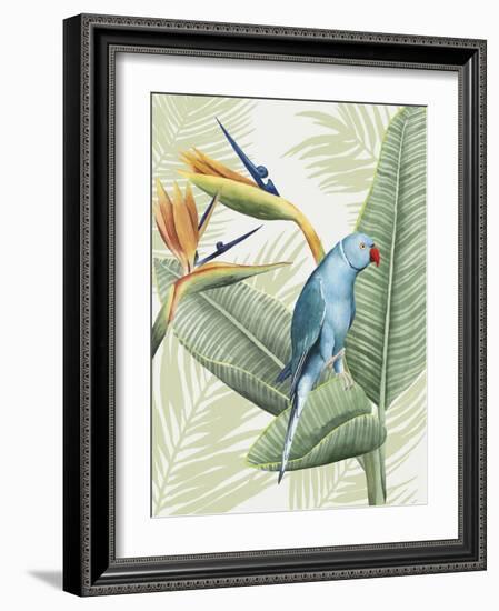 Avian Paradise III-Grace Popp-Framed Art Print