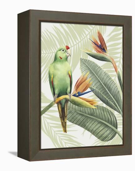 Avian Paradise IV-Grace Popp-Framed Stretched Canvas