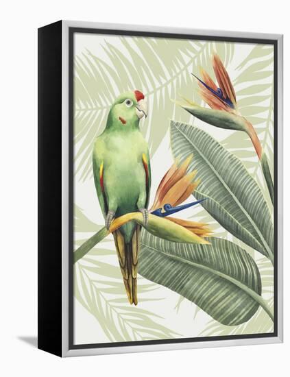 Avian Paradise IV-Grace Popp-Framed Stretched Canvas