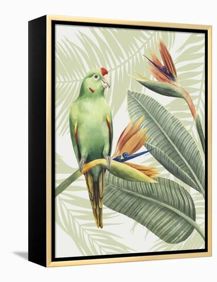 Avian Paradise IV-Grace Popp-Framed Stretched Canvas