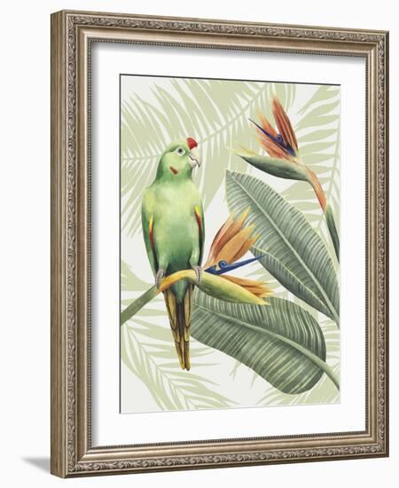 Avian Paradise IV-Grace Popp-Framed Art Print