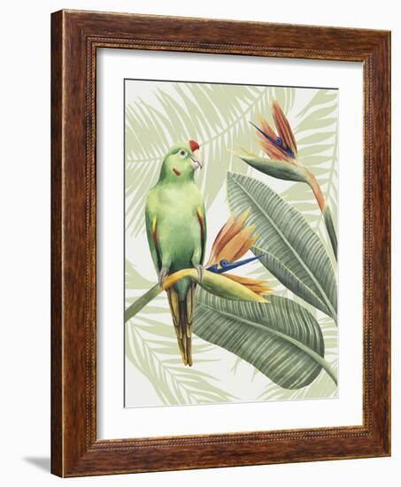 Avian Paradise IV-Grace Popp-Framed Art Print