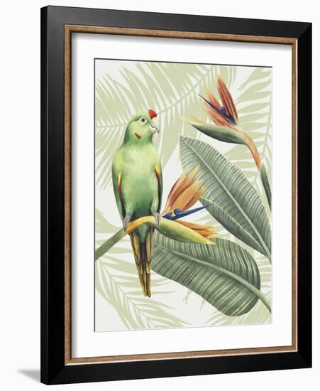 Avian Paradise IV-Grace Popp-Framed Art Print