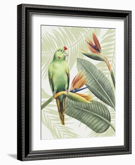 Avian Paradise IV-Grace Popp-Framed Art Print