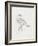 Avian Study  I-Ethan Harper-Framed Art Print