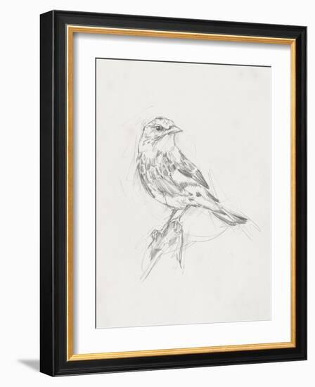 Avian Study  I-Ethan Harper-Framed Art Print