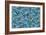 Aviary Blue-Bill Jackson-Framed Giclee Print