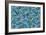 Aviary Blue-Bill Jackson-Framed Giclee Print