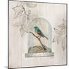 Aviary Display-Arnie Fisk-Mounted Art Print