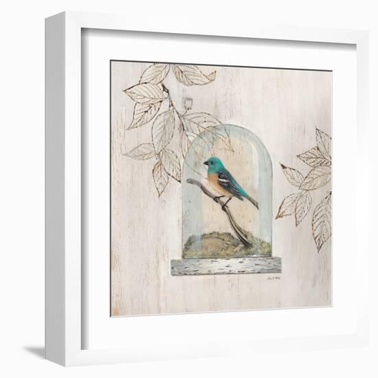 Aviary Display-Arnie Fisk-Framed Art Print