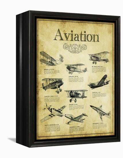 Aviation 2-null-Framed Premier Image Canvas